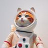 Profilbild von The Crypto Cat
