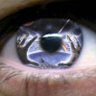 Actioman's profile picture