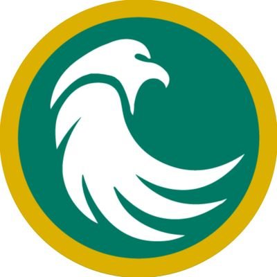 al6air2020's profile picture