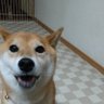 やっくん 的头像