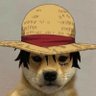 Luiz Felipe's profile picture