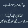 Profilbild von Aamir Shehzad PML.N