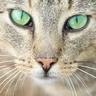 Profilbild von Susan