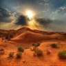 عبدالله جاسم 的头像