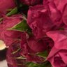 ❤︎ •﮼عبير،الورد،❥ 🕊 profil fotoğrafı
