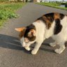 たけうま profil fotoğrafı