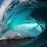OceanManMox's profile picture