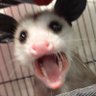 WaiWai's profile picture