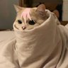 Фото профиля Ķxll_x4