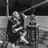 Galileo's profile picture