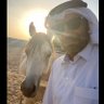 ابراهيم المحمدي 的头像