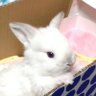 Profilbild von 水月雪兎(みずきゆきと)=ふゆを