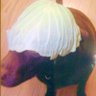 新川雄二's profile picture