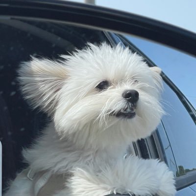 ๊ฒธ๋์ด's profile picture
