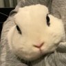 みーちゃん's profile picture