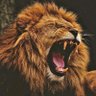 anwar's profile picture