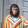 Scott Rodgers's profile picture