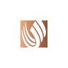 Aloula Homes | الأولى هـــومز's profile picture