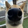 Half_Moon's profile picture