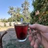 Ali Al-Manea's profile picture