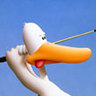 Ivan Gorokhovskii's profile picture