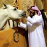 Фото профиля علوان الثقفي