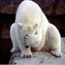 Tobias Stricker's profile picture