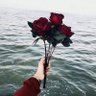 Hebo profil fotoğrafı