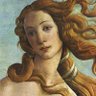 Aphrodite 的头像