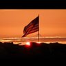 tom flaherty's profile picture