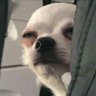 Profilbild von หิวไก่