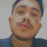 Vinícius Navarro's profile picture