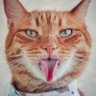 P.M's profile picture