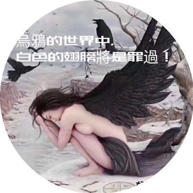 火烈鸟🦩🇦🇺's profile picture