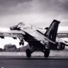 F111Driver's profile picture