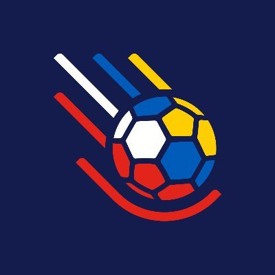 handball2023's profile picture