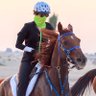 Profilbild von ABF المهيري