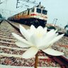 Фото профиля R.K.