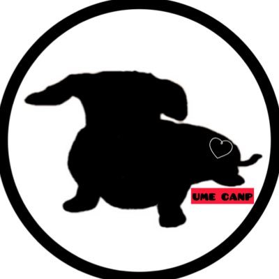 Loversoul69's profile picture