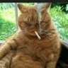 Марат Турганбаев profil fotoğrafı