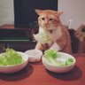 GP bobo 的头像