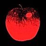 Profilbild von dk林檎