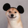 Profilbild von 頭は悪くないうさぎ