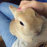 えみ 的头像