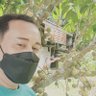 Nongbebe profil fotoğrafı