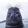 Nemesis Wanted profil fotoğrafı