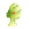 Nature & Moonlight Skincare/Herbal profil fotoğrafı