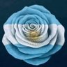 Profilbild von Luna Cercana