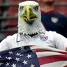 Teddy Eagle profil fotoğrafı