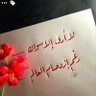 Alamal22@'s profile picture